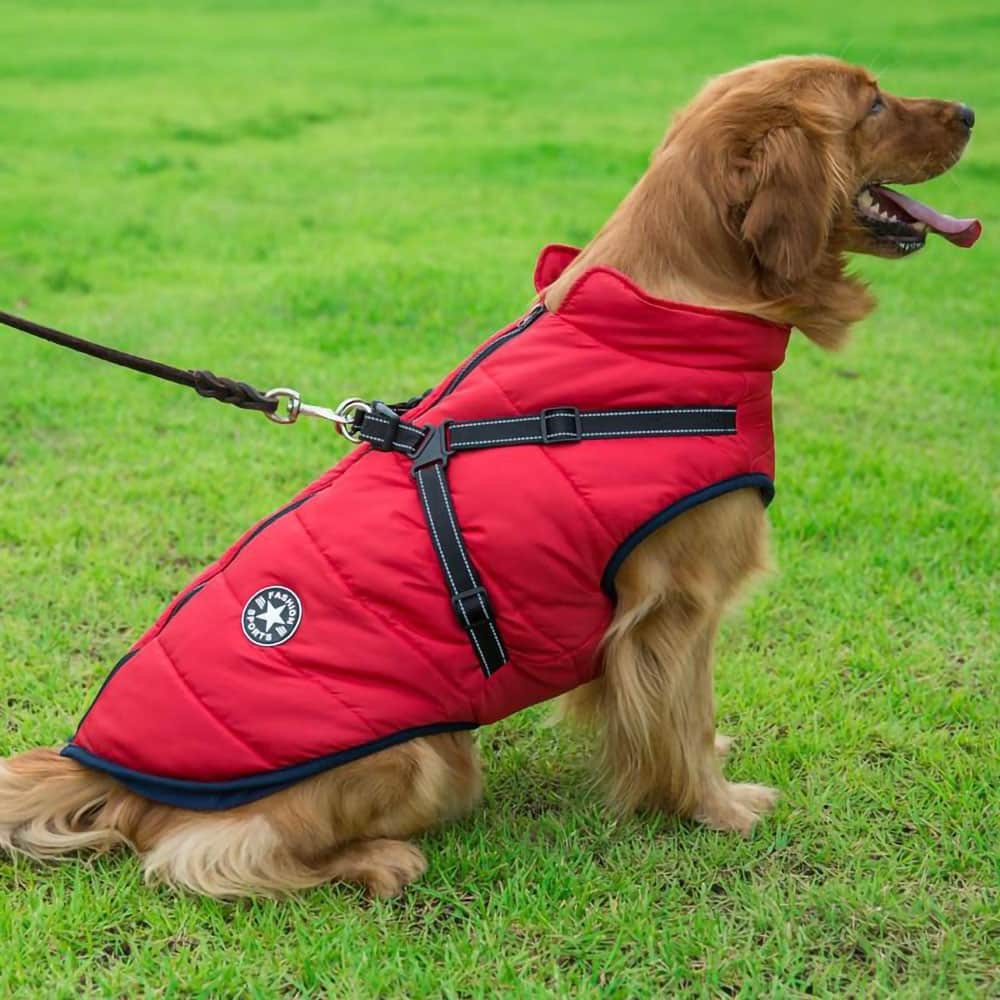 Parka Imperméable Pour Chien - Protection & Style