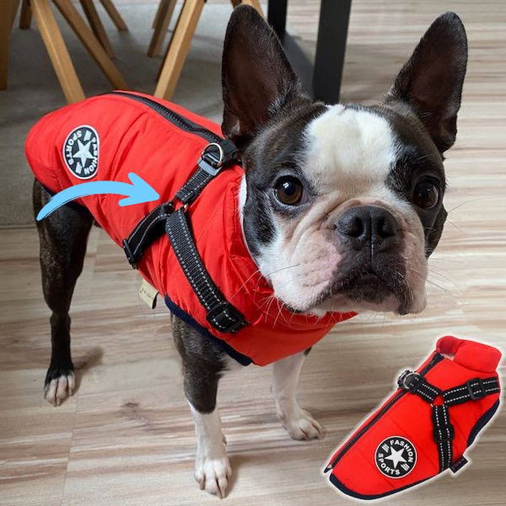 Parka Imperméable Pour Chien - Protection & Style