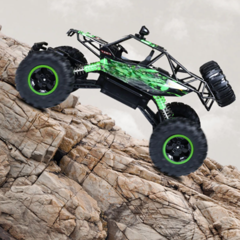 Off-Road auto met afstandsbediening - Power & Adrenaline gegarandeerd