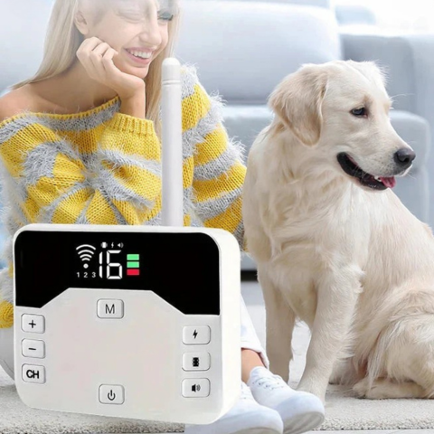 גדר אלחוטית עם קולאר אילוף – ביטחון וחינוך לכלב