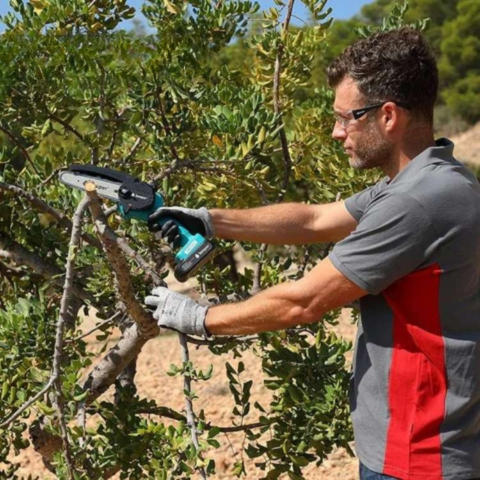 Seghetto Elettrico Ricaricabile – Portatile e Pronto all'Uso