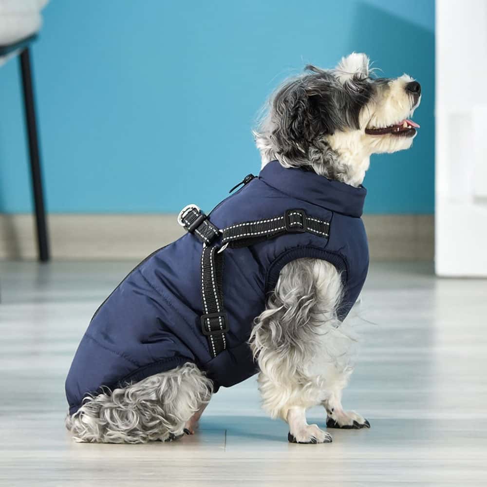 Parka Imperméable Pour Chien - Protection & Style