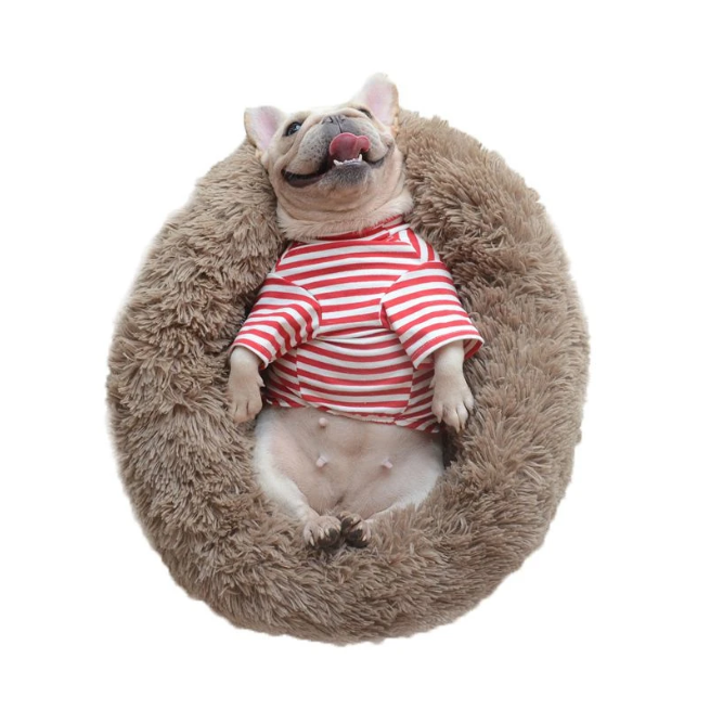 Dejlig Seng Til Dyr — Optimal Komfort Og Beroligende Hvile