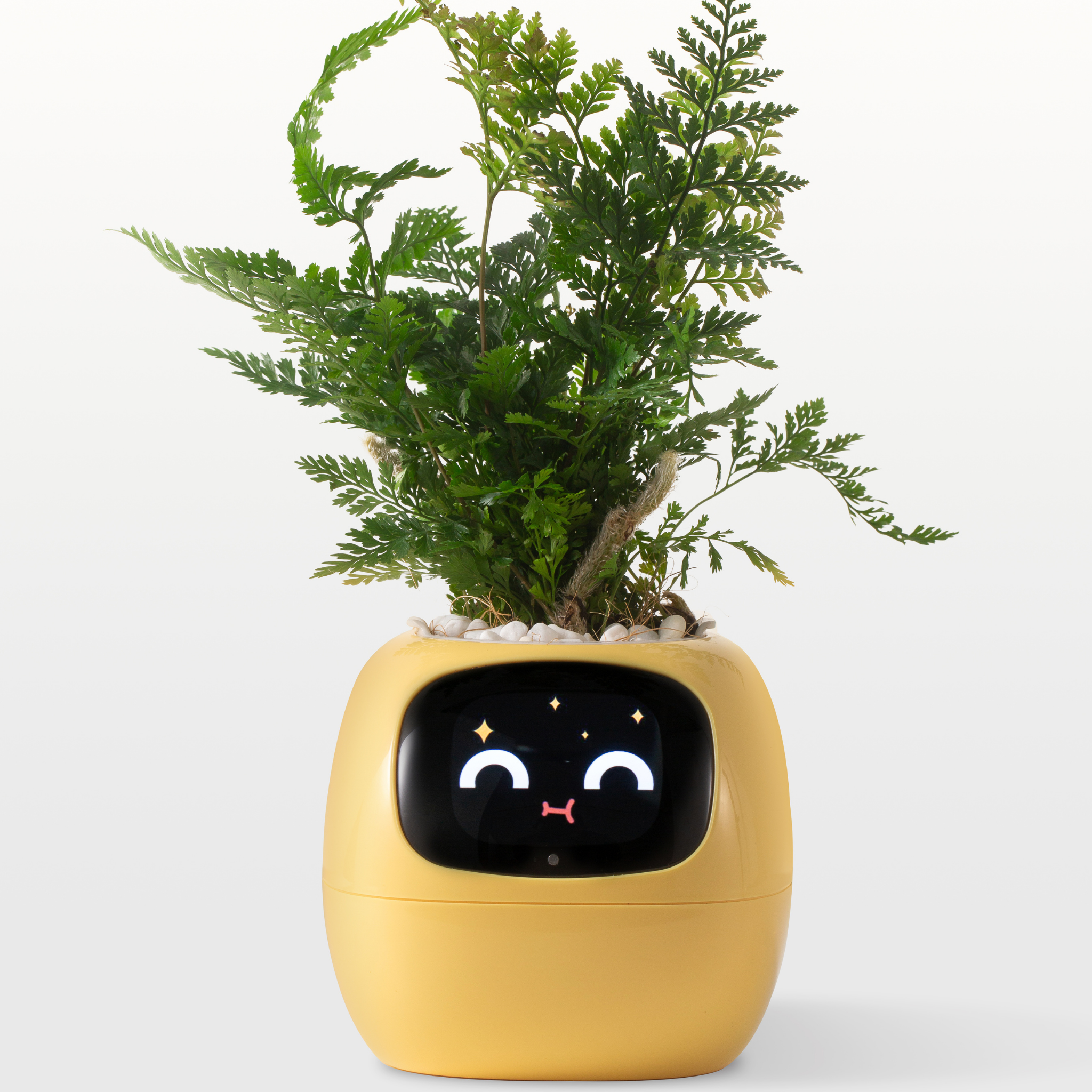 Emoji Blomsterkrukke – Original og Morsom Dekorasjon