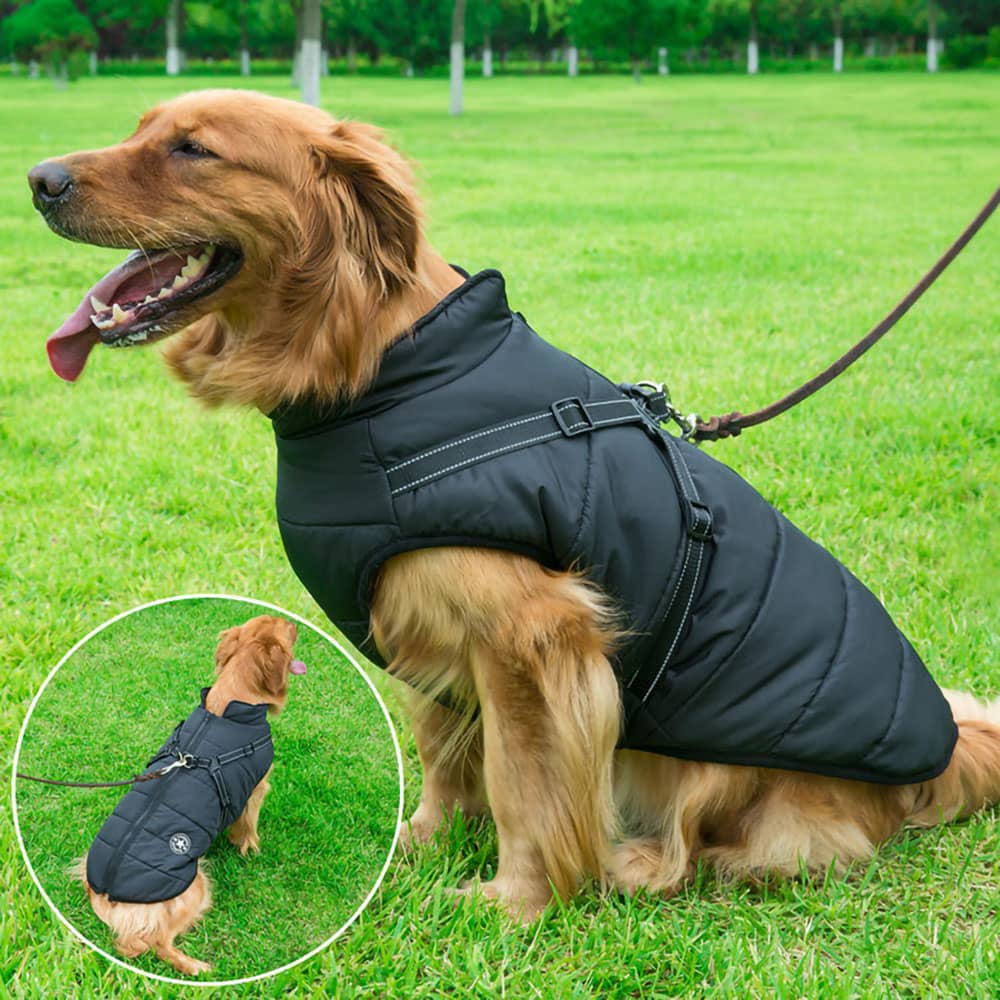 Parka Imperméable Pour Chien - Protection & Style