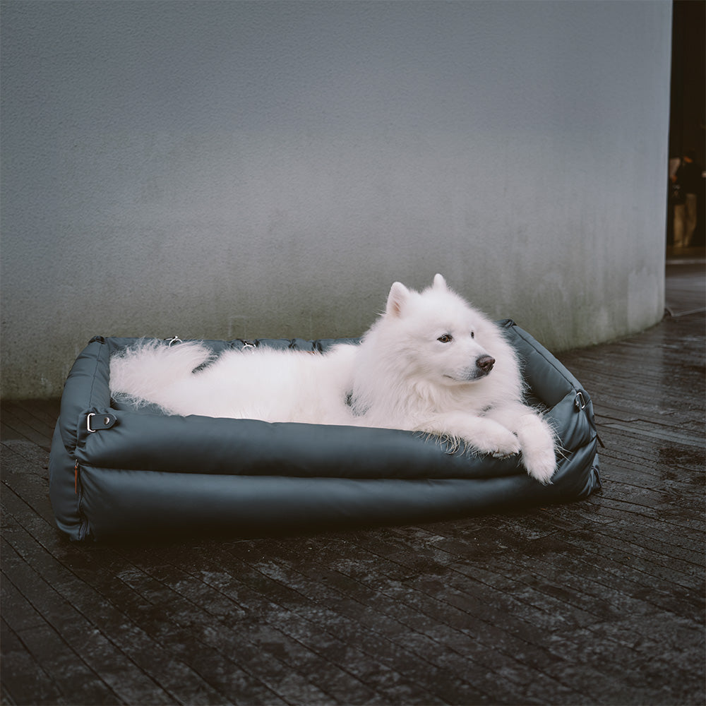 犬用カーシート – 快適さと保護 