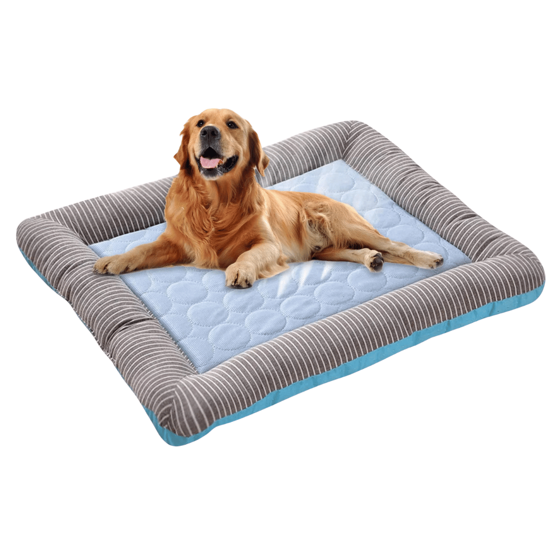 Osvěžující polštář pro psa – svěžest a pohodlí v létě 