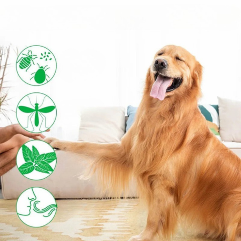 自然な長持ち害虫スプレー — 日常的な効果的な保護 