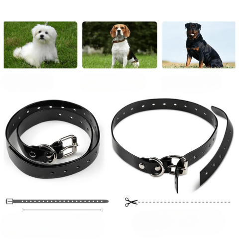 Ovladač na výcvikový obojek – Dosah 800 m, Vodotěsný a Dobíjecí 