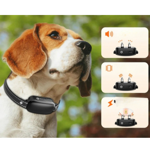 Távvezérlős Képző Nyakörv – Hatékony Képzés 