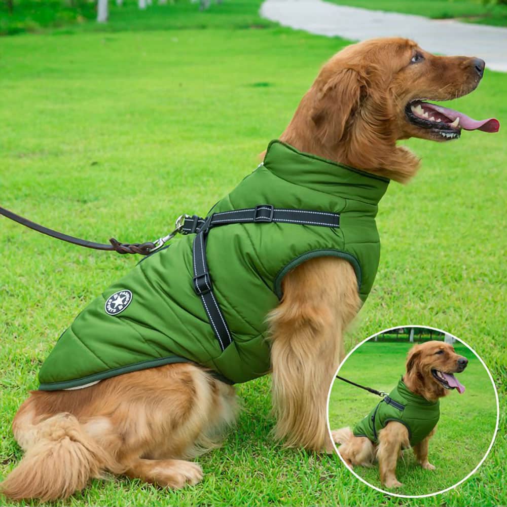 Parka Impermeable Para Perros - Protección y Estilo 