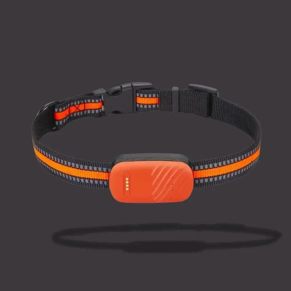 سوار تتبع GPS للقطط – تحديد الموقع والراحة اليومية 