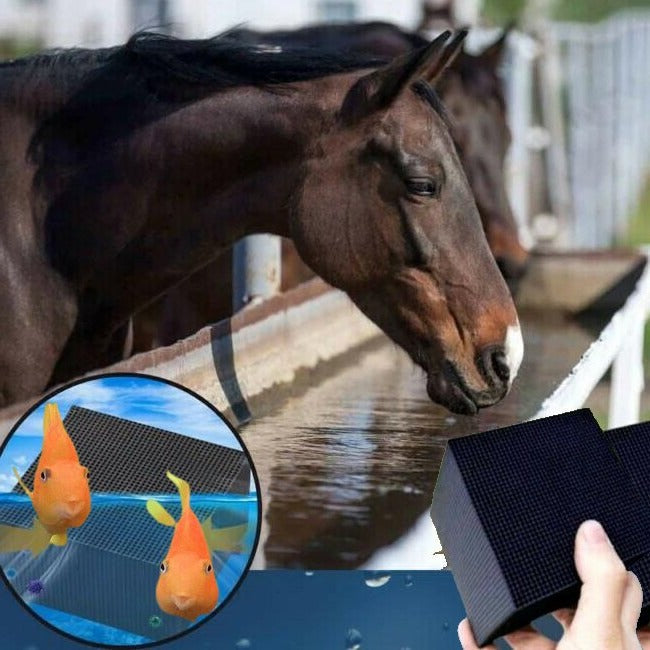 קוביית מסנן מים לבעלי חיים – מים צלולים ובריאים כל יום 